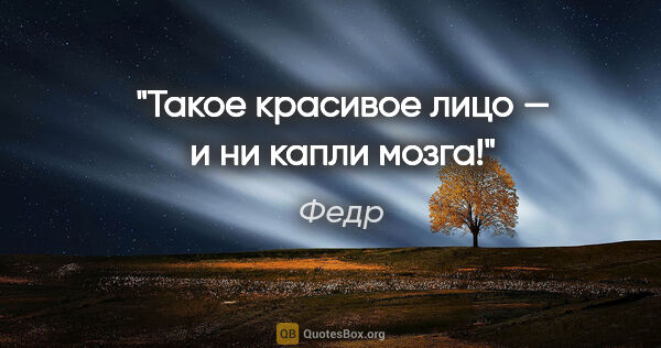 Федр цитата: "Такое красивое лицо — и ни капли мозга!"