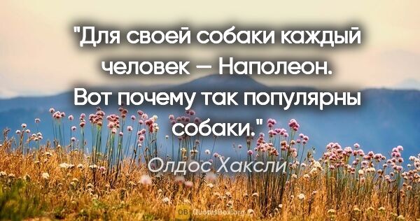 Олдос Хаксли цитата: "Для своей собаки каждый человек — Наполеон. Вот почему так..."