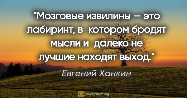 Евгений Ханкин цитата: "Мозговые извилины — это лабиринт, в котором бродят мысли..."