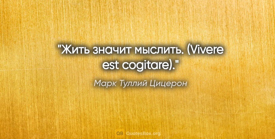 Марк Туллий Цицерон цитата: "Жить значит мыслить. (Vivere est cogitare)."