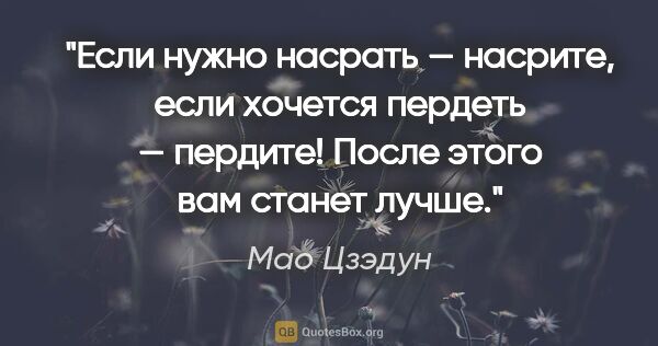 Мао Цзэдун цитата: "Если нужно насрать — насрите, если хочется пердеть — пердите!..."