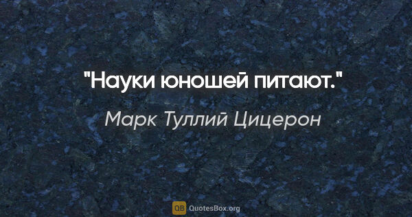 Марк Туллий Цицерон цитата: "Науки юношей питают."