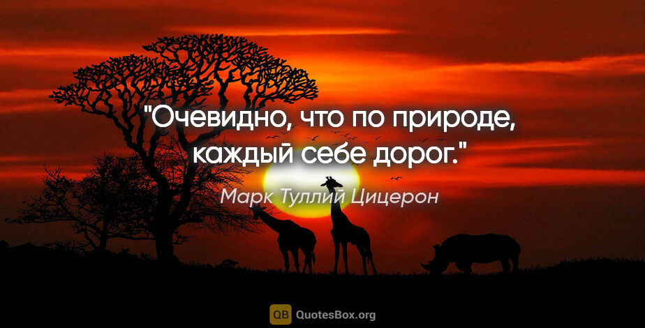 Марк Туллий Цицерон цитата: "Очевидно, что по природе, каждый себе дорог."