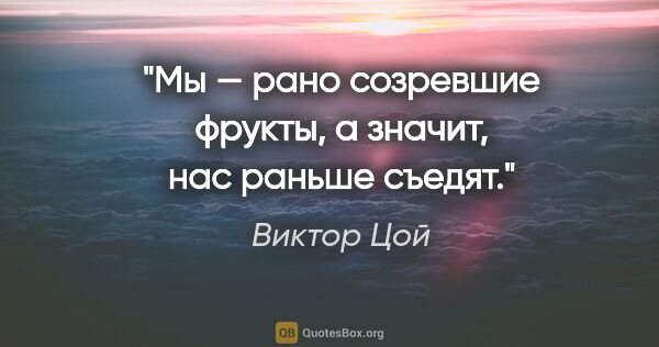 Виктор Цой цитата: "Мы — рано созревшие фрукты, а значит, нас раньше съедят."