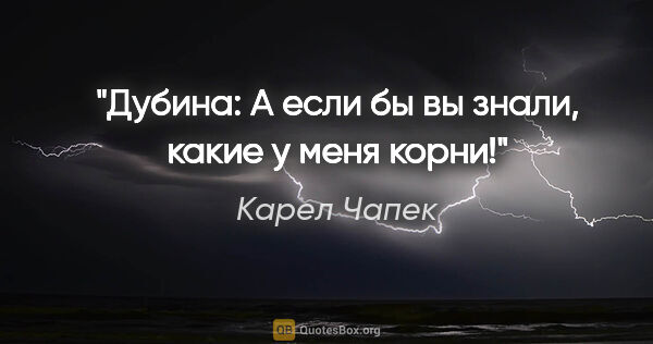 Карел Чапек цитата: "Дубина: «А если бы вы знали, какие у меня корни!»"