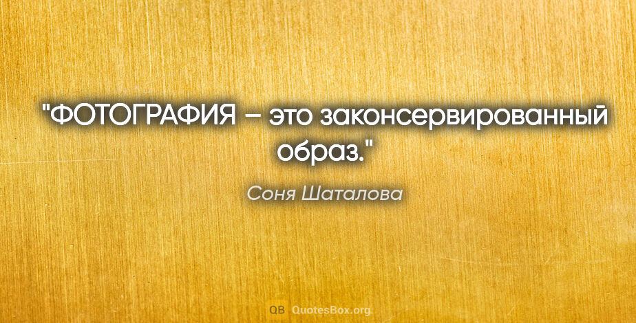 Соня Шаталова цитата: "ФОТОГРАФИЯ – это законсервированный образ."