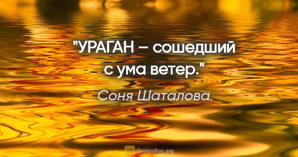 Соня Шаталова цитата: "УРАГАН – сошедший с ума ветер."