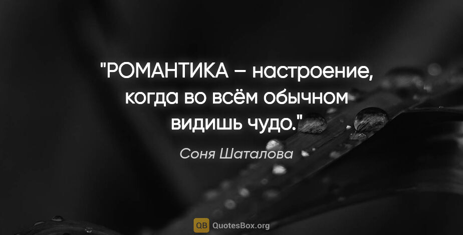 Соня Шаталова цитата: "РОМАНТИКА – настроение, когда во всём обычном видишь чудо."