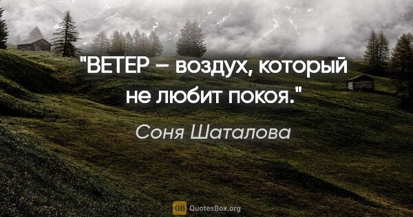 Соня Шаталова цитата: "ВЕТЕР – воздух, который не любит покоя."