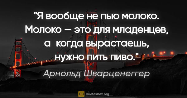 Арнольд Шварценеггер цитата: "Я вообще не пью молоко. Молоко — это для младенцев, а когда..."