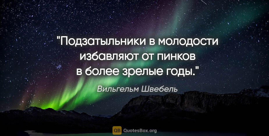 Вильгельм Швебель цитата: "Подзатыльники в молодости избавляют от пинков в более зрелые..."