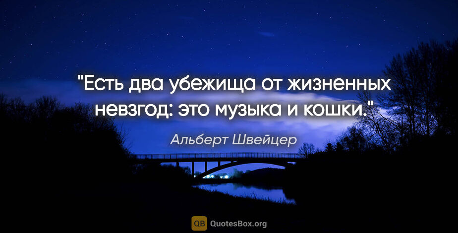 Альберт Швейцер цитата: "Есть два убежища от жизненных невзгод: это музыка и кошки."