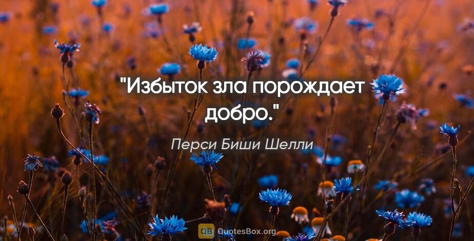 Перси Биши Шелли цитата: "Избыток зла порождает добро."