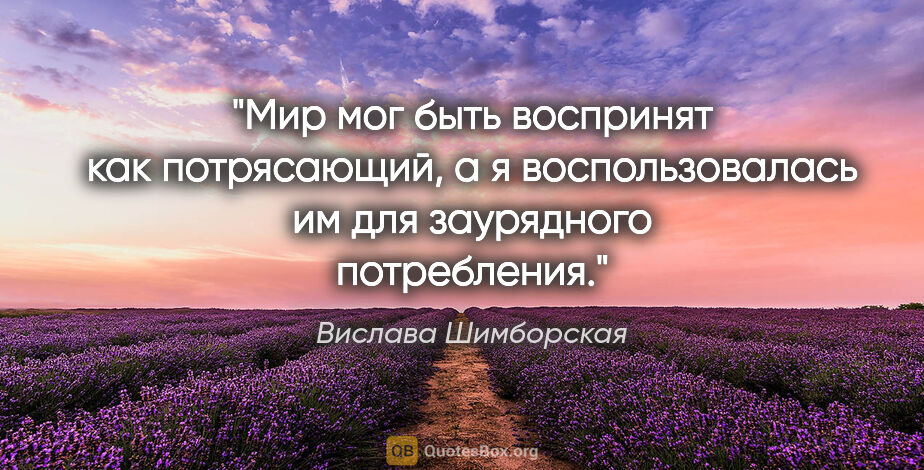 Вислава Шимборская цитата: "Мир мог быть воспринят как потрясающий,

а я воспользовалась..."