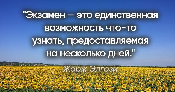 Жорж Элгози цитата: "Экзамен — это единственная возможность что-то узнать,..."