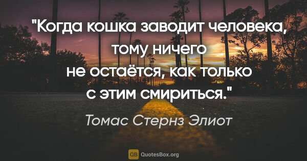 Томас Стернз Элиот цитата: "Когда кошка заводит человека, тому ничего не остаётся, как..."