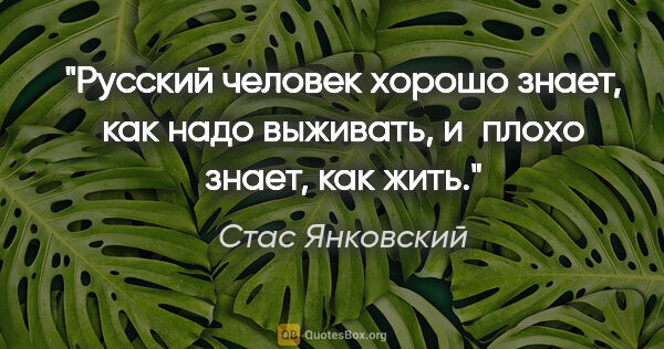 Стас Янковский цитата: "Русский человек хорошо знает, как надо выживать, и плохо..."