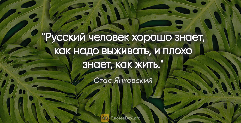 Стас Янковский цитата: "Русский человек хорошо знает, как надо выживать, и плохо..."