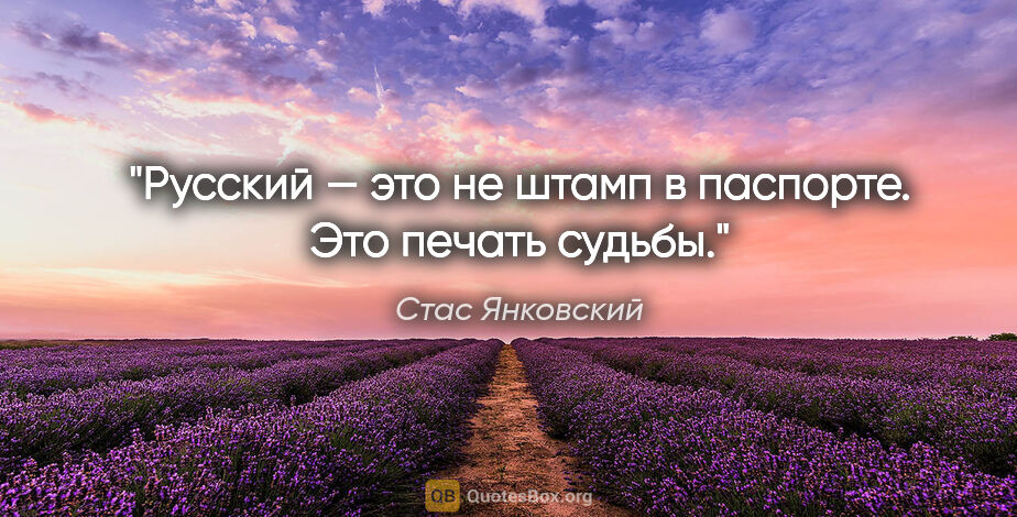 Стас Янковский цитата: "Русский — это не штамп в паспорте. Это печать судьбы."