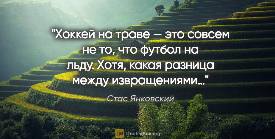 Стас Янковский цитата: "Хоккей на траве — это совсем не то, что футбол на льду. Хотя,..."