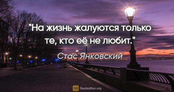 Стас Янковский цитата: "На жизнь жалуются только те, кто её не любит."