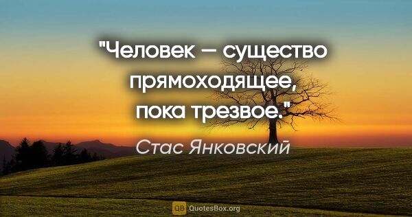 Стас Янковский цитата: "Человек — существо прямоходящее, пока трезвое."