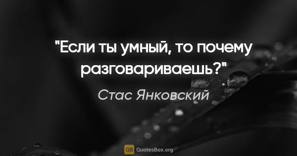 Стас Янковский цитата: "Если ты умный, то почему разговариваешь?"
