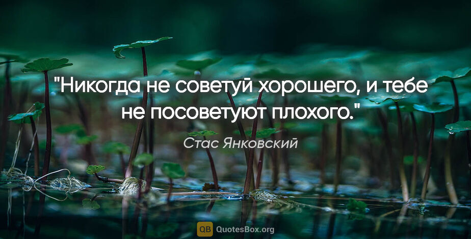 Стас Янковский цитата: "Никогда не советуй хорошего, и тебе не посоветуют плохого."