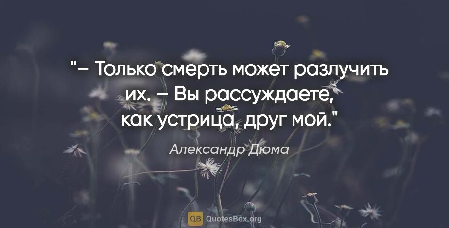 Александр Дюма цитата: "– Только смерть может разлучить их.

– Вы рассуждаете, как..."