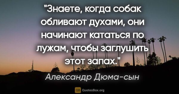 Александр Дюма-сын цитата: "Знаете, когда собак обливают духами, они начинают кататься по..."