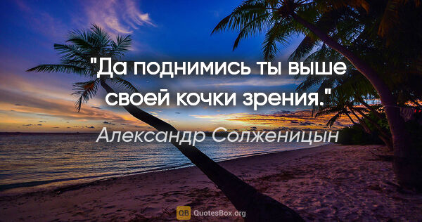 Александр Солженицын цитата: "Да поднимись ты выше своей кочки зрения."