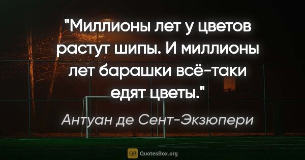 Антуан де Сент-Экзюпери цитата: "Миллионы лет у цветов растут шипы. И миллионы лет барашки..."