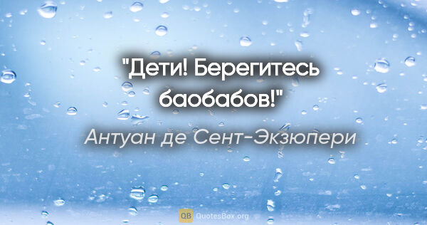 Антуан де Сент-Экзюпери цитата: "Дети! Берегитесь баобабов!"