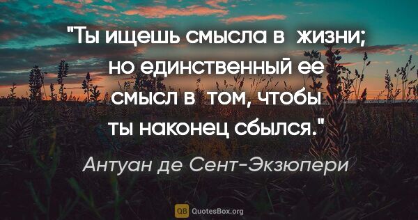 Антуан де Сент-Экзюпери цитата: "Ты ищешь смысла в жизни; но единственный ее смысл в том, чтобы..."