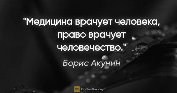 Борис Акунин цитата: "Медицина врачует человека, право врачует человечество."