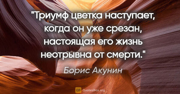 Борис Акунин цитата: "Триумф цветка наступает, когда он уже срезан, настоящая его..."