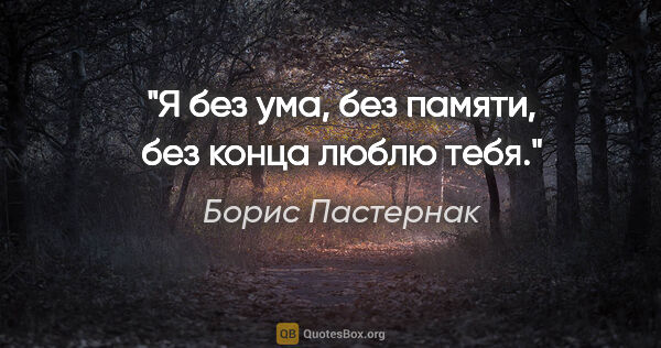 Борис Пастернак цитата: "Я без ума, без памяти, без конца люблю тебя."