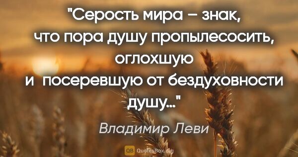 Владимир Леви цитата: "Серость мира – знак, что пора душу пропылесосить, оглохшую..."