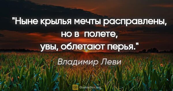 Владимир Леви цитата: "Ныне крылья мечты расправлены, но в полете, увы, облетают перья."