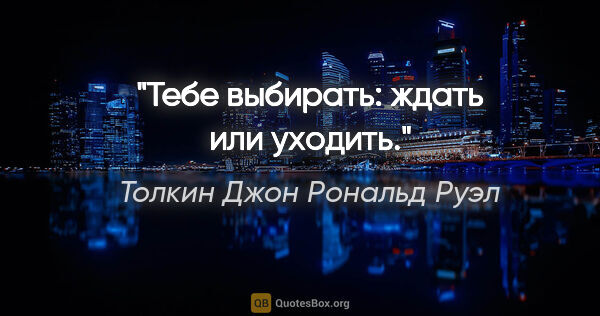 Толкин Джон Рональд Руэл цитата: "Тебе выбирать: ждать или уходить."