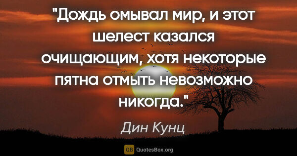 Дин Кунц цитата: "Дождь омывал мир, и этот шелест казался очищающим, хотя..."