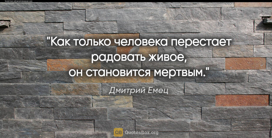 Дмитрий Емец цитата: "Как только человека перестает радовать живое, он становится..."