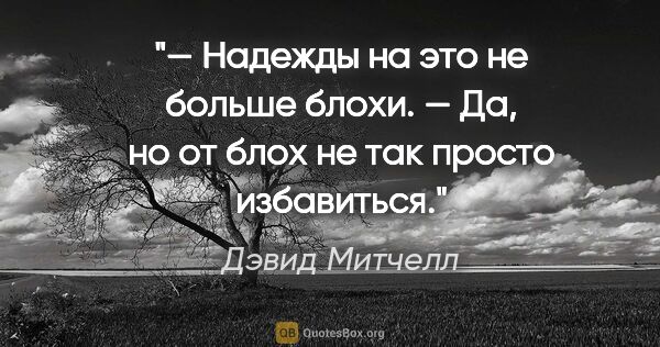 Дэвид Митчелл цитата: "— Надежды на это не больше блохи.

— Да, но от блох не так..."