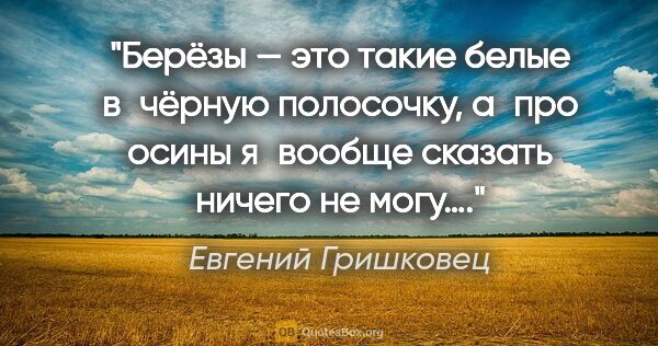 Евгений Гришковец цитата: "Берёзы — это такие белые в чёрную полосочку, а про осины..."