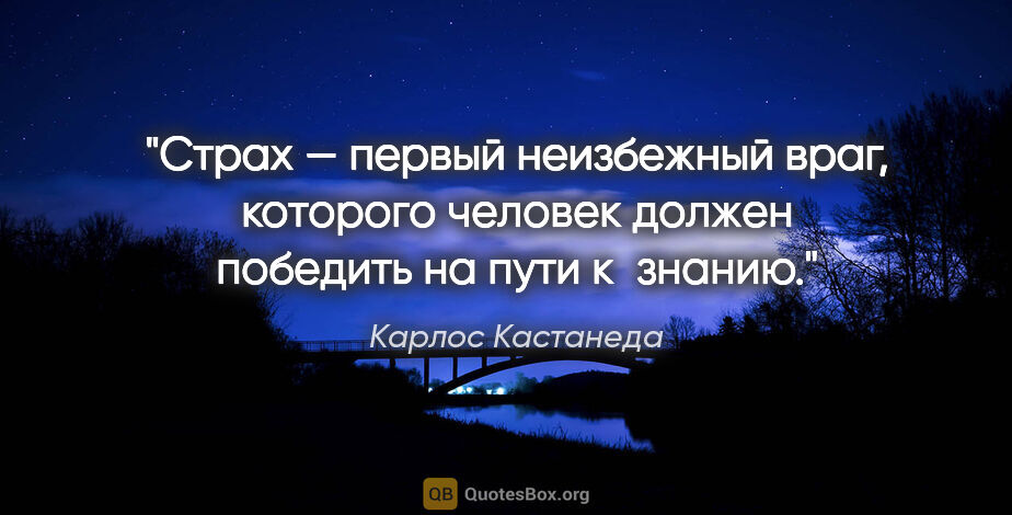 Карлос Кастанеда цитата: "Страх — первый неизбежный враг, которого человек должен..."