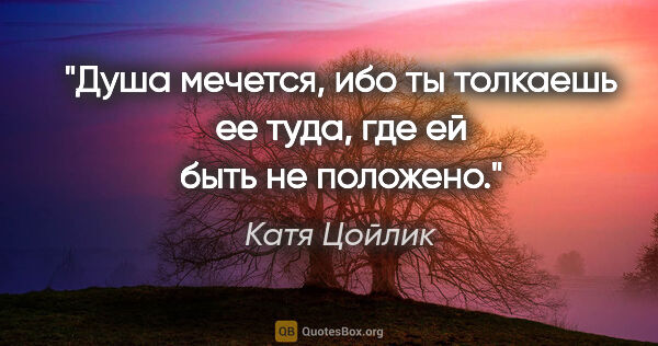 Катя Цойлик цитата: "Душа мечется, ибо ты толкаешь ее туда, где ей быть не положено."