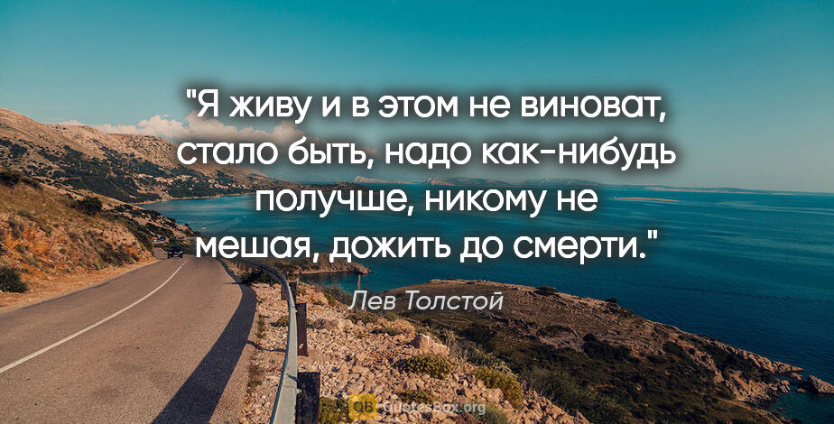 Лев Толстой цитата: "Я живу и в этом не виноват, стало быть, надо как-нибудь..."