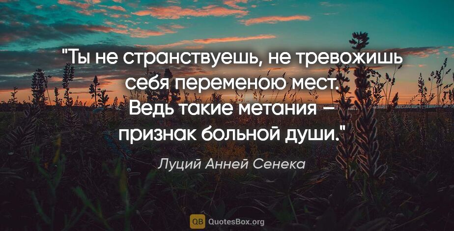 Луций Анней Сенека цитата: "Ты не странствуешь, не тревожишь себя переменою мест. Ведь..."