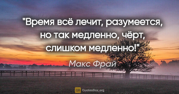 Макс Фрай цитата: "Время всё лечит, разумеется, но так медленно, чёрт, слишком..."