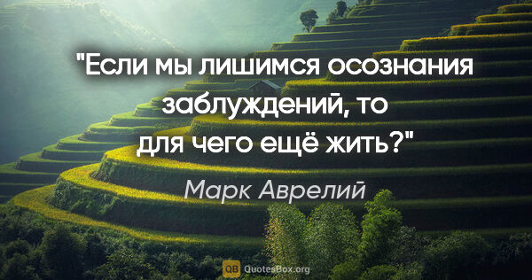 Марк Аврелий цитата: "Если мы лишимся осознания заблуждений, то для чего ещё жить?"